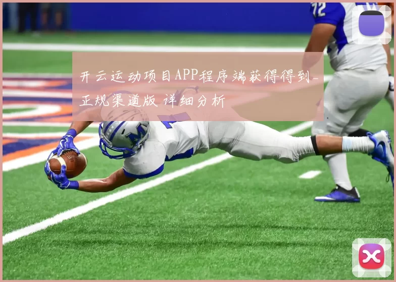 开云运动项目APP程序端获得得到_正规渠道版 详细分析