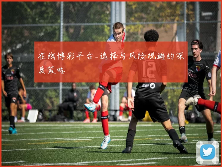 在线博彩平台_选择与风险规避的深度策略