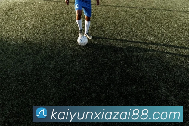 App Interface Preview